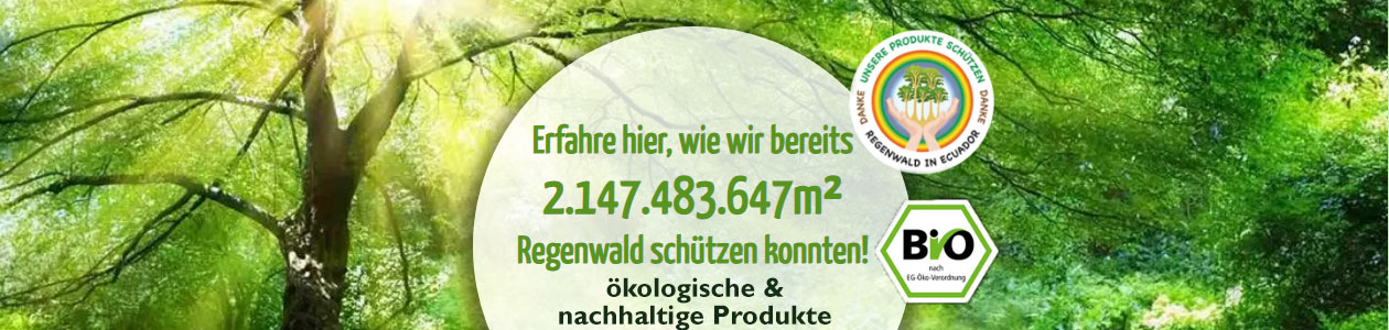 Regenbogenkreis Banner